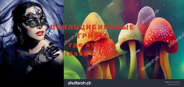 шишки Беломорск