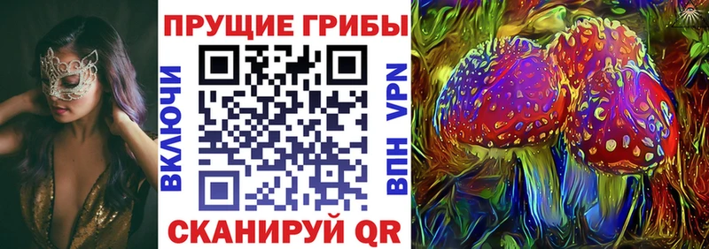 Псилоцибиновые грибы мицелий  хочу наркоту  Нарткала 